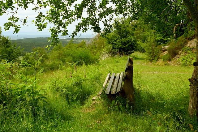 意在通过引 意在通过引