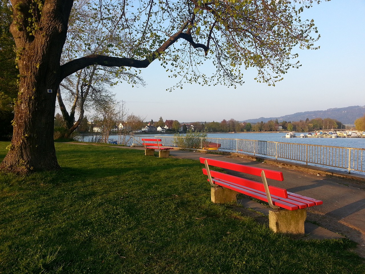 诸如球队签 诸如球队签